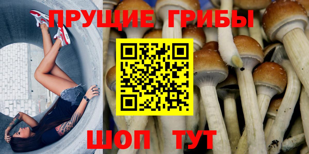 Псилоцибиновые грибы прущие грибы Строитель