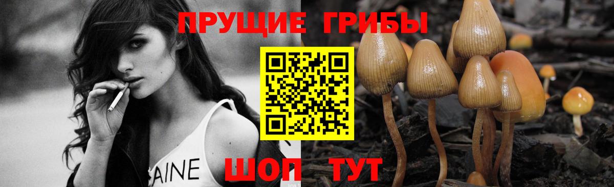Галлюциногенные грибы прущие грибы  Вход с VPN  Галлюциногенные грибы мухоморы  Строитель 